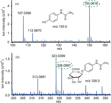 
            Mass spectra of metabolites in the experiment group. (a) Mass spectrum of AP in metabolites. (b) Mass spectrum of APG in metabolites.
