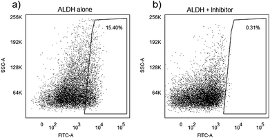 Identification of ALDH+ cells in a human prostate cancer cell line (PC3). 10,000 events were evaluated on a BD FACSAria cell sorter. Histograms show gated populations (a) without and (b) with Diethylaminobenzaldehyde (DEAB) inhibitor. Numbers in gated areas indicate the percent of the total population represented in the area.