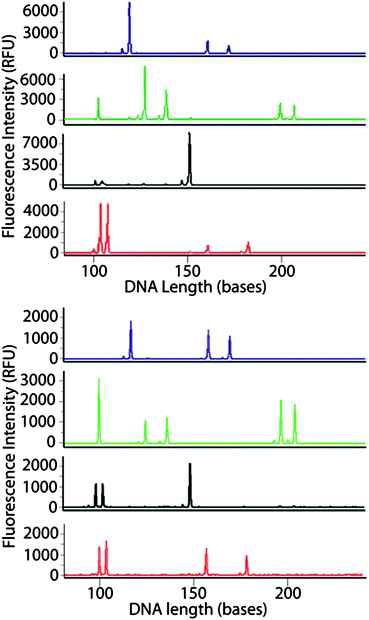 Multicolor electropherograms of AmpFSTR® MiniFiler™ PCR amplification of human genomic DNA in the microfluidic device (1 μL reaction volume and 1 ng template DNA) using the EFPI-based non-contact temperature monitoring (top) and in a polypropylene tube using a conventional heating block thermocycler (bottom).