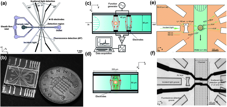 Overview of the cytometer chip and details of the optical and electronic setup. (a): Schematic diagram showing 1-D hydrodynamic focusing, micro-electrodes for impedance spectroscopy and the different grooves for holding the fibres (incident light, scattered light and fluorescence). (b): Photograph of a chip fabricated from glass and SU-8. (c): Cross section of the detection area showing the microelectrodes and the setup for impedance spectroscopy. (d): View of the electrodes as seen along the microfluidic channel demonstrating how 1-D hydrodynamic focusing centres the particles in the electric field. (e): Details of the optical design, showing the compound air lens, the light collection fibres and the optical paths of the detection region, (the refractive index of SU-8 and water are at 532 nm). (f): Photograph of the final microfabricated structure. The two black lines crossing the channels are the microelectrodes which are slightly misaligned.