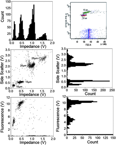 
            SSC, fluorescence and impedance data from a mixture of different beads (10, 15, 20 and 25 μm diameter) after w-filtering. Also shown is FACS fluorescence data for the same mixture. Particles can be discriminated from either SSC or impedance, as well as fluorescence intensity.