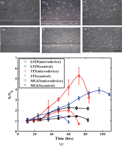 Representative images of culture of fibroblast cells - 3T3 (a–c) and L929 (d–f) in the microdevice with two-phase (air–liquid) interface at different time intervals – 0 h, 36 h, 72 h are shown (scale bar represents 200 μm). Optical micrograph of the cells after seeding inside the microdevice with a virtual wall (air–liquid interface) are shown in (a) and (d). (g) Different cell lines - 3T3, L929 and MG63 were cultured in the patterned microdevice and the ratio of the number of cells at different time intervals (N) to the initial adhered cell number (N0) is shown with respect to the control (non-patterned microchannel). The error bars show the standard deviation for each data set.