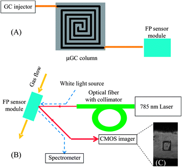 (A) Schematic of the μGC setup. The FP sensor module shown in Fig. 1(A) was connected to a GC injection port via a standard capillary GC column or a microfabricated GC column. (B) Schematic of the optical detection setup. A 785 nm laser was used to interrogate the change in reflected intensity caused by the presence of vapor analyte inside the channel. The incident angle could be adjusted to maximize the sensitivity. The CMOS imager provides quantitative and kinetic information about polymers' response to the vapor analytes. Dashed lines show the path of the white light, which was used to optimize the 785 nm laser alignment. (C) Image of an FP sensor with polymer in an etched well.