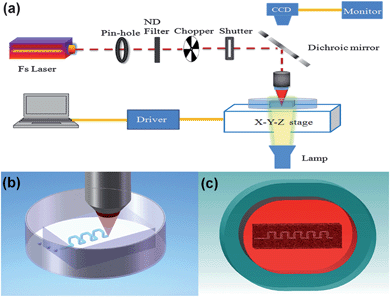 Rapid prototyping of three-dimensional microfluidic mixers in glass by ...