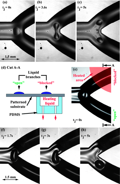 (a–c) Interference microscopy images of a droplet splitting at a fluidic junction. After reaching the junction, (a), the droplet was stretched orthogonally to the rivulet, thinned in its center, (b), and split into two independently propelling droplets, (c). (d) Experimental configuration for heat induced droplet steering at fluidic junctions using a PDMS flow cell. (e–h) Microscopy images of a droplet steered at a fluidic junction. (e) Short before the droplet reached the junction at tj = 0, heating liquid was pumped through the flow cell. The droplet was stretched orthogonally to its propulsion direction, (f), detached from the sub-phase liquid in the heated branch, (g), and moved into the unheated branch, (h).