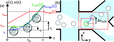 (a) Trajectories xtrap(t) of the trap and xcell(t) of the cell enabling efficient displacements. The optical trap is initially positioned close to the cell membrane within the cell body. Starting at x0 with velocity vmin, the cell is accelerated over a short distance xa. During this time τa, the trap finds the most polarizable part of the cell. Most of the displacement is performed with a maximal trap velocity of vmax. (b) Sketch of the chamber and the sorting geometry. The cell suspension is hydrodynamically focused and directed to the lower output by default. Image processing is performed within the outer red-dashed rectangle. Cells detected and classified within the inner rectangular region are dragged over a distance Δxcell to a streamline ending in the upper outlet.