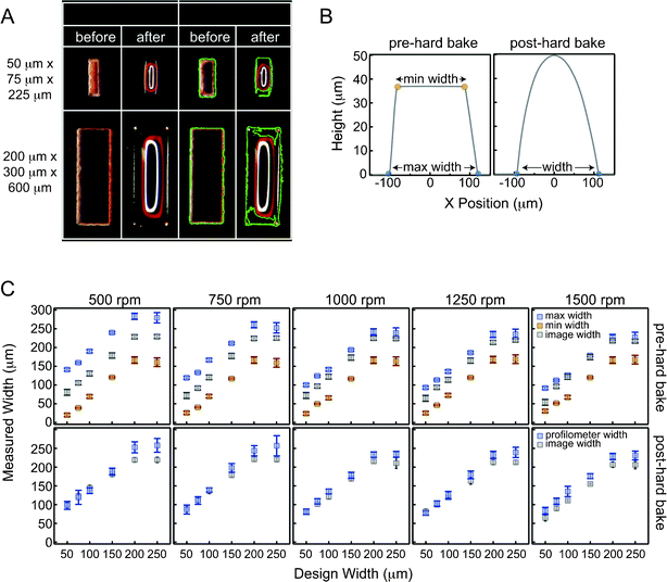 Rounded feature widths before and after reflow. (A) Stereoscope images of two representative features before and after reflow. Right hand columns show feature edges (green) as defined by a custom edge-finding algorithm. (B) Profilometer data showing feature height as a function of cross-sectional position for a single valve both before (left) and after (right) reflow. Before hard baking, valve profiles are trapezoidal with both a minimum (orange) and maximum (blue) width. After baking, valve profiles are parabolic, with a single width defining the extents of the feature base (blue). (C) Widths measured using both image analysis and profilometry as a function of design width both before (top row) and after (bottom row) hard baking and reflow.
