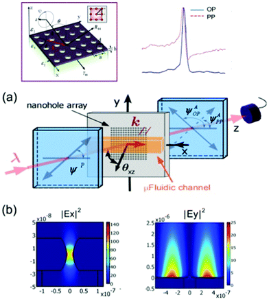 Surface Plasmon Resonance (SPR) based detection (a). Conceptual diagram of the 2D nanohole-array-based SPR sensor. (b) Near-field intensity distribution of the electric field on the nanoresonant substrate resulted from coupling between LSPR and SPR in a 2D metal film perforated with nanohole. Adapted from ref. 60 and 64, copyright 2006, 2009 Optical Society of America.