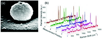 a) SEM of fabricated upward nanoresonator with opening of 50 nm. b) A sample uniformity plot of 5 nanotorches at different locations within the same substrate.