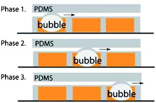 Schematic representation of a pulsed laser driven peristaltic membrane pump. The synchronized laser induced cavitation bubbles deform the thin membranes in sequence to push the fluid in the sample channel forward.