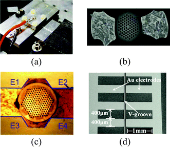 (a) Experimental setup of a LC-PCF between a pair of electrodes (photo courtesy of L. Scolari).134 (b) Integrated electrodes in the cladding of a silica PCF.145 (c) An LC-PCF placed in a V-groove assembly with four 200 nm gold deposited electrodes.146 (d) Patterning of the electrodes allows for the periodic application of the control voltage.147