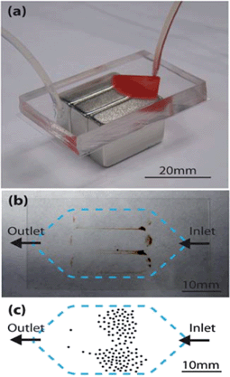 (a) Circulating tumor cell (CTC) detection chip placed on three magnets, with whole blood entering the chip through tubing on the right side. (b) Bottom collection slide with captured magnetic particles and cells. (c) Drawn example of the distribution of captured COLO205 cells. Figure adapted and reprinted with permission from the Royal Society of Chemistry from Hoshino et al.7