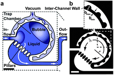 Illustration (a) and design of the bubble trap (b). In (b), black indicates the solid device material and white indicates fluidic structures. Scale bars: 500 μm. Figure adapted and reprinted with permission from the Royal Society of Chemistry from Lochovsky et al.8