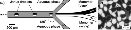 (a) Channel and flow configuration to generate the bicolored Janus droplets in a planar microfluidic geometry. (b) Synthesized bicoloured Janus particles. Image reproduced from ref. 20 with permission from Wiley publishing.