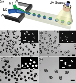 (a) Schematic of formation of droplets with ternary structures. Monomers M1 and M2 are injected in intermediate and central channels, respectively. (b, c, d) Optical microscopy images of Janus particles. Bright and dark phases are polymers of M1 and M2, respectively. (e) Janus particles with ternary structures. Image reproduced from ref. 21 with permission from ACS publishing.