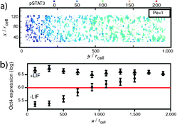 A gradient of cell response within the microfluidic channel along the axis of fluid flow was (a) predicted computationally and (b) experimentally validated. Figure reprinted with permission from the National Academy of Science from Moledina et al.1
