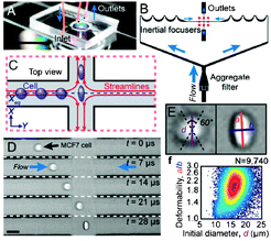 Operating principle of the deformability cytometer. a) Photograph of the device, b) schematic of inertial focusing, c) schematic and d) photographs of focused, deformed cells, e) calculation of shape parameters, and f) cell deformability plot. Figure adapted and reprinted with permission from Gossett et al.4