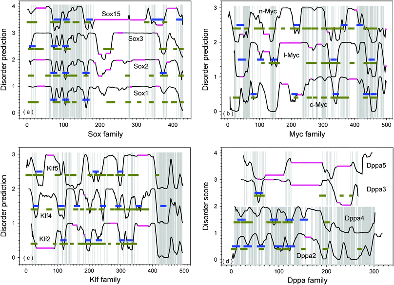 Comparison of disorder prediction for proteins in the same family: (a) Sox; (b) Myc; (c) Klf; and (d) Dppa. The pink horizontal lines are alignment indels. Horizontal blue bars are potential MoRF regions predicted by MoRF-II predictor.82 Horizontal dark yellow bars are binding motifs identified by ANCHOR.83,84 The disorder prediction was conducted by PONDR®VL-XT. Normally, residues with score higher than 0.5 are disordered, while residues with score lower than 0.5 are structured. However, the disorder scores on y-axis were shifted upwards to separate various proteins. The corresponding intervals on y-axis are labeled behind the name of each protein. (a) For Sox family: Sox1 (0–1); Sox2(1–2); Sox3(2–3); and Sox15(3–4). (b) For Myc family: c-Myc(0–1); l-Myc(1–2); and n-Myc(2–3). (c) For Klf family: Klf2(0–1); Klf4(1–2); and Klf5(2–3). (d) For Dppa family: Dppa2(0–1); Dppa4(1–2); Dppa3(2–3); and Dppa5(3–4). The threshold between disordered and structured residues should also be shifted at the medium of each interval, accordingly. The details of the aligned sequences are shown in the ESI, Fig. S2.