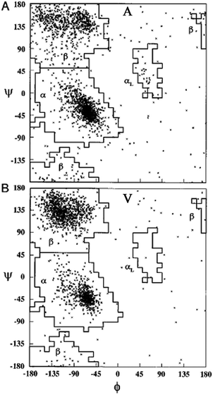 Ramachandran plot for alanine (A) and valine (B). Each point represents one of the 2096 and 1728 entries found for alanine and valine in the coil library of Fiebig et al.,81 respectively. Taken from ref. 81 and modified.