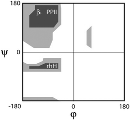 Schematic Ramachandran plot indicating the positions of PPII, β-strand and right handed helical conformations.