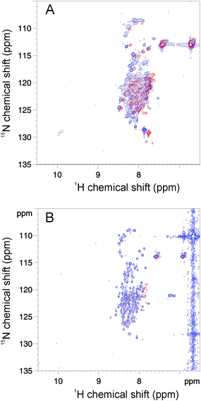 Temperature- and denaturant-induced changes of BpUreG. The 1H–15N HSQC NMR spectra of 15N-BpUreG recorded at 10 °C (blue) and 50 °C (red) are shown in the absence (A) and in the presence (B) of 2.5 M GuHCl.