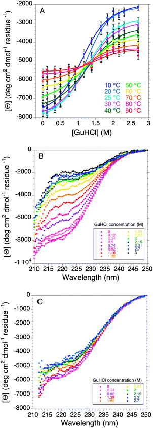 Combined effect of chemicals and temperature on BpUreG folding followed by far-UV CD (A) GuHCl-induced denaturation curves of BpUreG at different temperatures followed by far-UV CD at 222 nm. Bottom panels show the complete far-UV CD spectra of the GuHCl-induced denaturation of the protein at 10 °C (B) and at 90 °C (C).