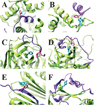 Examples of the location of aromatic pairs at the interface of protein complexes based on the secondary structure. The complexes are: (A) the intrinsically disordered calmodulin-binding domain of a myristoylated alanine-rich C kinase substrate bound to calmodulin (PDB: 1iwq); (B) intrinsically disordered N-terminal region of p53 bound to MDM2 (PDB: 1ycq); (C) intrinsically disordered boronate inhibitor borolog 1 bound to α-thrombin (PDB: 1a3b); (D) hirudin bound to α-thrombin (PDB: 4htc); (E) cytoplasmic dynein 1 intermediate chain 2 bound to the dynein light chain (PDB 2pg1); (F) IDP p27kip1 bound to the cyclin dependent kinase 2-cyclin A complex (PDB: 1jsu). Protein structures are rendered as ribbons; IDPs are shown in violet, whereas their binding partners are shown in green. Aromatic residues are shown as sticks.