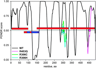 
          PONDR VLXT disorder predictions for the wild-type MECP2 and its three D → O mutants that overlap with the experimentally confirmed MECP2 disordered regions from DisProt. The red bars denote the location of the disordered regions, the red/blue bar denotes the MECP2 region for which the structure was determined (red regions within the blue bar indicate approximate location of the disordered regions in the structure), the colored circles denote the location of mutations, the colored lines denote new disorder predictions after introducing mutation into the wild type sequence in silico.
