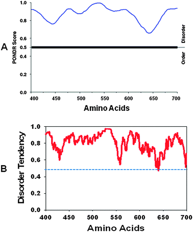 (A) PONDR plot for amino acids 400–700 of ULK1 protein disorder prediction (www.pondr.com) as described in ref. 55 and 56. The X-axis shows amino acid numbers in the ULK1 protein sequences, and the Y-axis shows the probability score. (B) IUPred plot for ULK1 protein (amino acids 400–700) disorder prediction (http://iupred.enzim.hu) as described in ref. 57. Scores above 0.5 are considered to be disordered sequences.