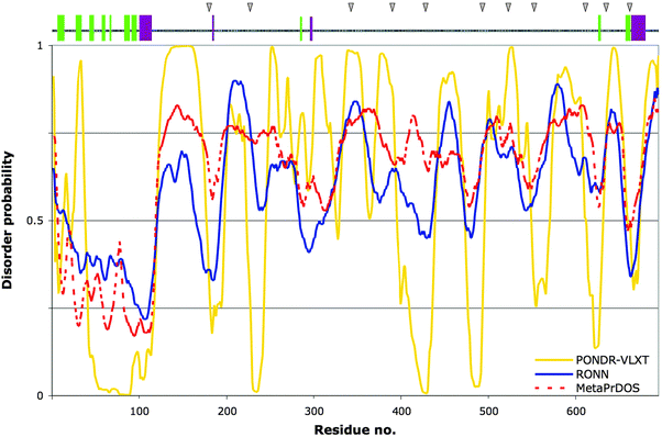 
            Prediction of structural order and disorder for human Gab1. Bottom plot: Three predictors of disorder were used to analyse the protein sequence of human Gab1 for comparison: PONDR-VLXT (yellow), RONN (blue) and MetaPrDOS (red, dashed line). Values above or below the 0.5 tendency level represent disorder and order, respectively. Top panel: PSIPRED secondary structure prediction for Gab1, represented as coloured bars along the sequence: α-helices in dark magenta, β-strands in light green. The grey triangles above indicate the positions of the Gab1-PH domain-binding sites along Gab1's tail, as determined by peptide array (see Table 1 and ref. 29).