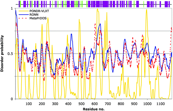 
            Prediction of structural order and disorder for Helicobacter pylori CagA protein. Bottom plot: Three predictors of disorder were used to analyse the protein sequence of CagA for comparison: PONDR-VLXT (yellow), RONN (blue) and MetaPrDOS (red, dashed line). Values above or below the 0.5 tendency level represent disorder and order, respectively. Top panel: The PSIPRED secondary structure prediction for CagA, represented as coloured bars along the sequence: α-helices in dark magenta, β-strands in light green.