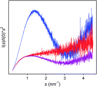 Kratky plot for three constructs of Src-Kinase. The globular SH3 domain (blue), the fully disordered Unique domain (red), and a construct joining both domains (purple). The prototypical features of globular and disordered domains are combined in the partially folded construct. Courtesy of Yolanda Pérez and Miquel Pons (Institute for Research in Biomedicine, Barcelona).