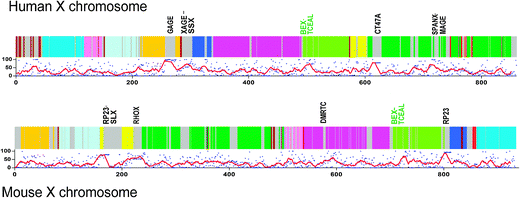 
            Syntenic regions (color-coded) and species-specific proteins (grey) on the human and mouse X chromosomes. The disorder of each protein is marked with a dot under the colored schematics of each X chromosome. The continuous red lines indicate the moving averages of 10 consecutive proteins in each. The five most disordered clusters correspond to the five peaks in each moving average graph. The clusters are delineated with the representative gene names.