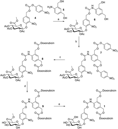 
            Reagents and conditions: (a) 5, HOBt, DMF, 50 °C, 3 h, 70%; (b) p-nitrophenyl chloroformate, pyridine, CH2Cl2, 0 °C to RT, 1 h, 98%; (c) doxorubicin (HCl), Et3N, HOBt, DMF, RT, 3 h, 57%; (d) MeONa/MeOH, −10 °C, 3 h, 81%; and (e) NaOH, H2O/THF, −5 °C or −15 °C, 15 min or 2 h.