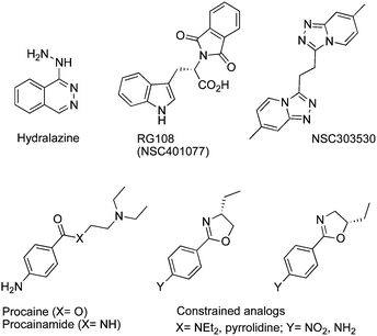 Chemical structure of hydralazine, RG108 and their analogs NSC303530, procaine, procainamide and their constrained analogs.