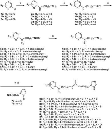 Reagents and conditions: (i) H2N(CH2)nNH2 (2), pyridine, reflux; (ii) TrCl, Et3N, THF, 0 °C-r.t.; (iii) LiHMDS, THF, R1X, r.t.; (iv) TFA, DCM; (v) 7, 1,1′-carbonyldiimidazole or 1,1′-thiocarbonyldiimidazole, iPrNEt2, DCM, μW, 130 °C, 10 min; (vi) TFA, DCM.