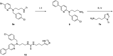 Reagents and conditions: (i) PhB(OH)2, Na2CO3, Pd(PPh3)4, 100 °C, 2 h; (ii) TFA, DCM; (iii) 7a, 1,1′-thiocarbonyldiimidazole, iPrNEt2, DCM, μW 150 °C, 10 min; (iv) TFA, DCM.
