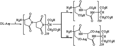 Synthetic route for poly-α,β-dl-aspartyl-l-arginine. (i) At 200 °C, or at 180 °C under vacuum in H3PO4 (85%), or azeotropic distillation in tetrahydronaphthalene; (ii) aqueous NaOH (2 N); (iii) l-arginine.