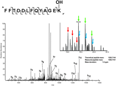 
          MS/MS analysis of endogenous JMJD6 supports hydroxylation of Lys167JMJD6. JMJD6 was immunoprecipitated from HeLa cells, digested with LysCprotease and analysed by LC-MS/MS. The MH2+peptide that was fragmented to give the resulting MSspectra is shown on the right hand side of the spectrum (in green). The co-elution of two different peptides is shown by use of blue and red colours.