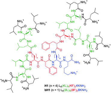 Structure of antimicrobial peptide dendrimers H1 and bH1.