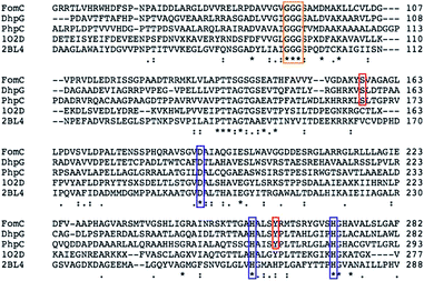 Sequence alignment of select group III alcohol dehydrogenases. The boxed residues are responsible for NAD(P)H binding (orange), metal cofactor binding (blue), or, in the case of FomC, DhpG, and PhpC, phosphonate binding (red), and were identified through homology modelling.