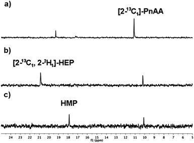 The progress of the enzymatic cascade outlined in Scheme 2 was followed by 31P NMR spectroscopy to confirm the generation of (a) [2-13C1]-PnAA from [2-13C]-PEP by the successive actions of RhiH and PnPy decarboxylase, (b) 2-[2-13C1, 2-2H1]-HEP via the reduction of [2-13C1]-PnAA by DhpG in the presence of (4R)-NADP2H, and (c) HMP by the action of HEPD. 31P chemical shifts of phosphonates are very sensitive to small changes in pH. Therefore, the identity of 2-HEP and HMP was confirmed by spiking with an authentic synthetic standard. The additional resonance in (b) and (c) is residual [2-13C1]-PnAA. The additional resonance at ∼19 ppm in (a) is an unknown byproduct of PnAA generation.