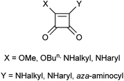 General structure of squaric acid derivatives synthesized.