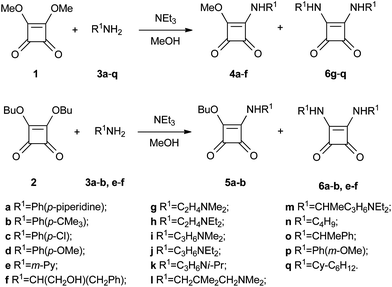 Synthesis of squaramides 4a–f, 5a–b, 6a–b and 6e–q.