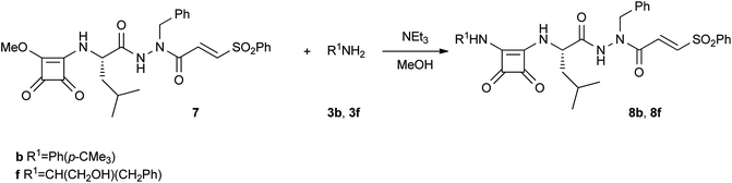 Synthesis of squaramides 8b and 8f.