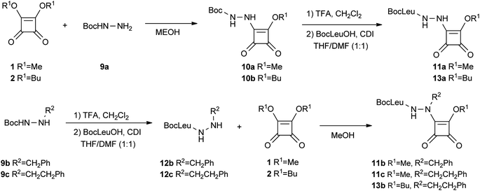 Synthesis of aza squaric derivatives 11a–c and 13a–b.