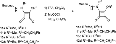 Synthesis of N-Mu aza squaric derivatives 11d–e and 13c–d.