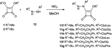 Synthesis of N-Cbz aza squaric derivatives 11f–h and 13e–g.