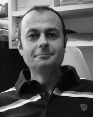 
                  Arnaud Gautier
                