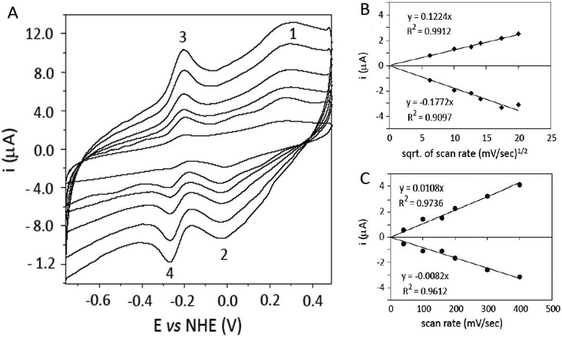 Direct CV of 195 μM PHR in 50 mM HEPES pH 7.0 on a glassy carbon electrode activated by methane flame. (A) Voltammograms obtained at scan rates of 40, 100, 160, 200, 300 and 400 mV s−1. (B) Plot of peak current versus the square root (sqrt) of the scan rate and relative linear fitting for peaks 1 and 2. (C) Plot of peak current versus the scan rate and linear fitting for peaks 3 and 4.